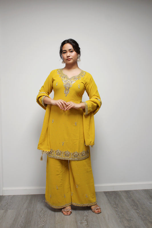 Hand-worked Palazzo Kurta set with Dupatta.